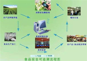 剖析物聯(lián)網(wǎng)能使一人養(yǎng)一萬(wàn)頭豬 是真需求還是偽痛點(diǎn)的車(chē)聯(lián)網(wǎng)科技思考